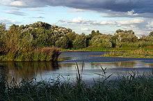 220px-Wetland_Centre_Lagoon