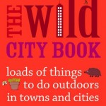 wild city book cover